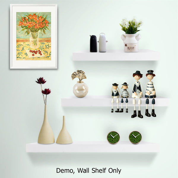 3 pcs Wall Floating Shelf Set Bookshelf Display White